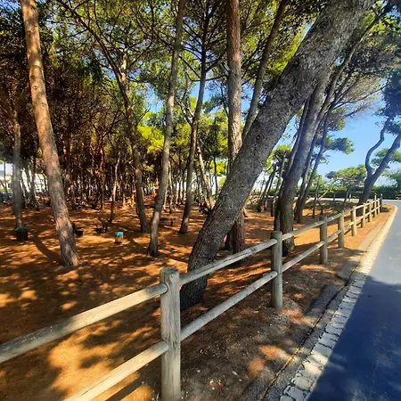 Pinolo Bilo Int 11 - Myho Casa * Alba Adriatica