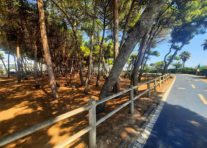 Pinolo Bilo Int 11 - Myho Casa * Альба-Адриатика